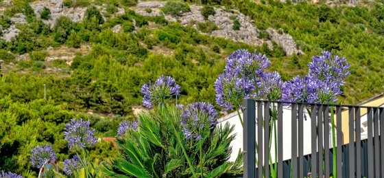 luxury-villa-delight-ii-promajna-makarska-15.jpg Holiday villas in Croatia