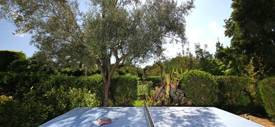 moreno_-_xterior_01.jpg Villa holidays in Pollensa