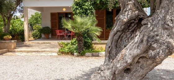 oliver_-_xterior_z_1_18_2400x1600.jpg Villa in Mallorca to rent