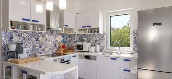 villa_in_milna_13_1.jpg Villa holidays in Brac