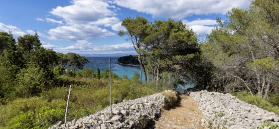 villa_in_milna_39.jpg Villa in Croatia to rent