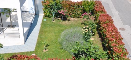 villa_in_podstrana_area_33.jpg Villa rentals in Dalmatia