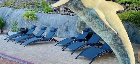 image1.jpeg Holiday home in Costa del Sol villa booking