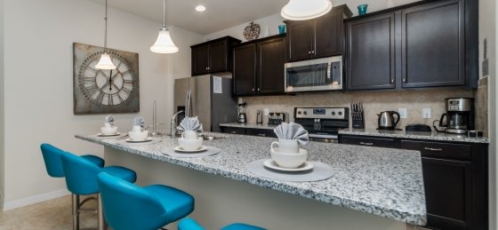 image_156992610.jpeg Holiday villas in Florida