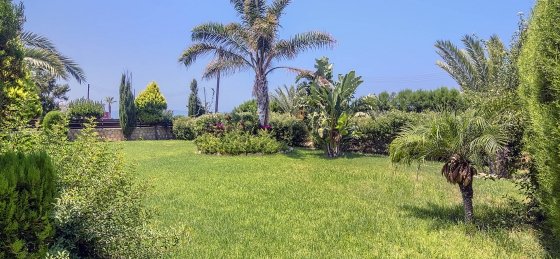 arc_4054_tn.jpg Villas in Cyprus