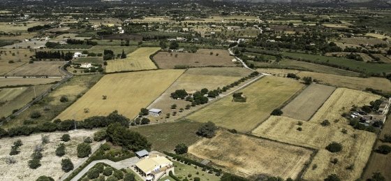 Book a villa holiday in Alcudia