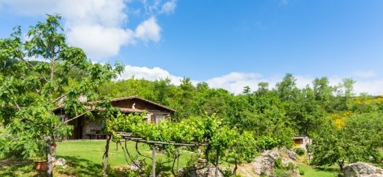 f78821ef-bc30-4a7e-a10d-ce238d71bc04.jpg Holiday villas in Grosseto