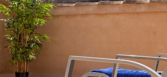 Holiday villas in Pollensa