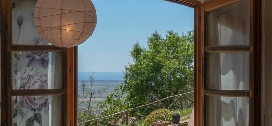 lo_dsc5554.jpg Book a villa in Grosseto