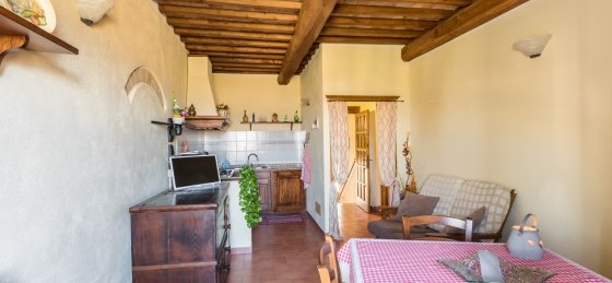 lo_dsc5770.jpg Villa in Tuscany to rent