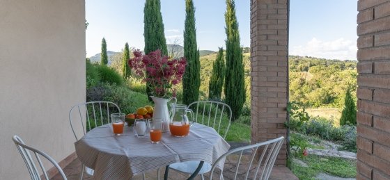 lo_dsc6350.jpg Villas in Tuscany