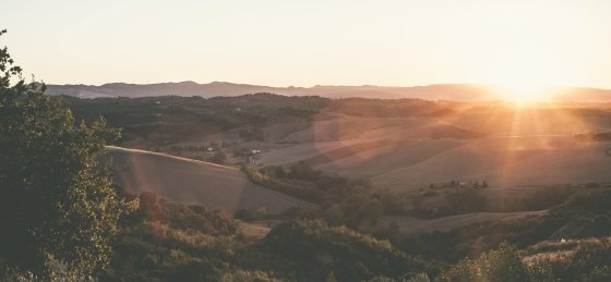 lo_riannevansoest-vespa_ice-059.jpg Book a villa holiday in Tuscany