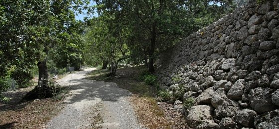 pascol_-_xterior_14_2400x1600.jpg Villa rentals in Pollensa