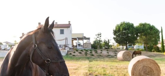 1af0191f.f10.jpg Villa holidays in Tuscany