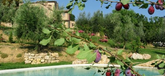 Villa in Arezzo to rent