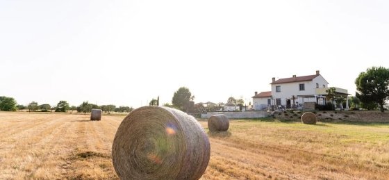 a99bd320.f10.jpg Villa rentals in Italy