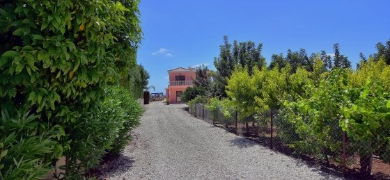 arc_2069_tn.jpg Book a villa in Paphos