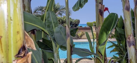 arc_3648_tn.jpg Villa holidays in Cyprus