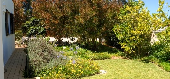 dsc_1968.jpg Book a villa in Portugal