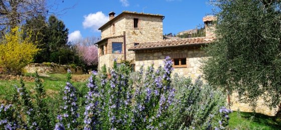 Villa in Tuscany to rent