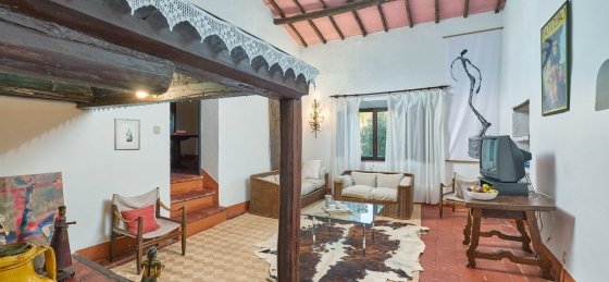 lo_dsc4745.jpg Holiday villas in Tuscany