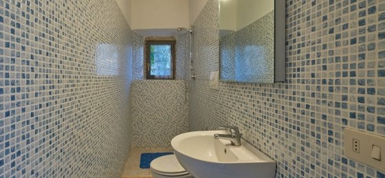 lo_dsc4819.jpg Villa rentals in Arezzo