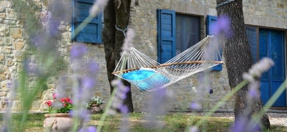 lo_dsc_0938.jpg Villa in Italy to rent