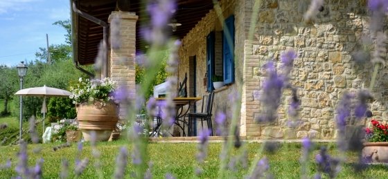 lo_dsc_0951.jpg Holiday villas in Arezzo