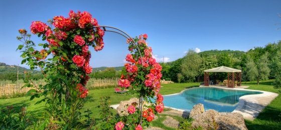 Villa in Tuscany to rent