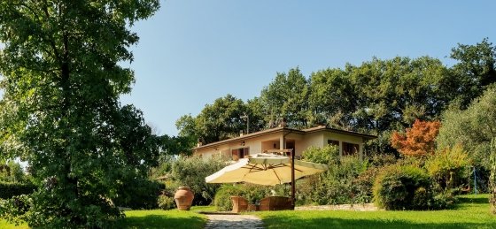 lo_img_9747-30.jpg Holiday villas in Pisa