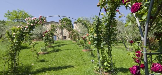 Holiday villas in Tuscany