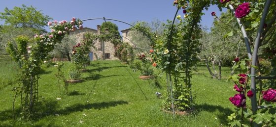 Villa in Tuscany to rent