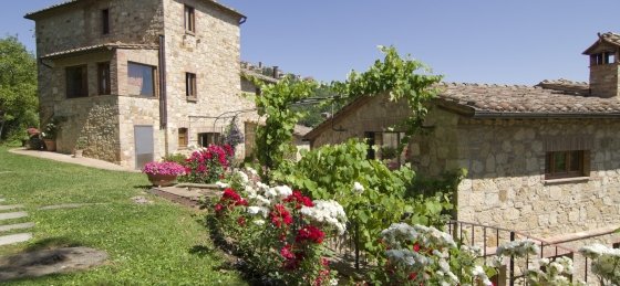 Villa in Tuscany to rent