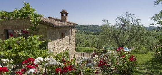 Villa rentals in Arezzo