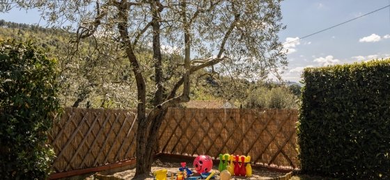 lo_luk_9023.jpg Holiday villas in Tuscany