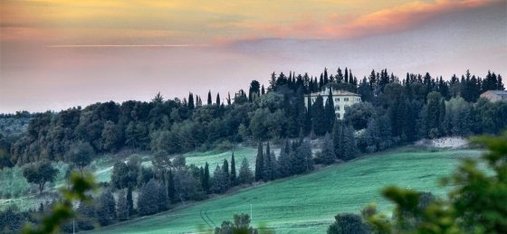 lo_mg_6676-edit-edit.jpg Villas in Arezzo