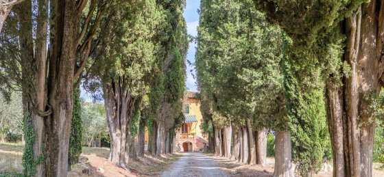 lo_ml_1709130058-hdr.jpg Villa holidays in Tuscany