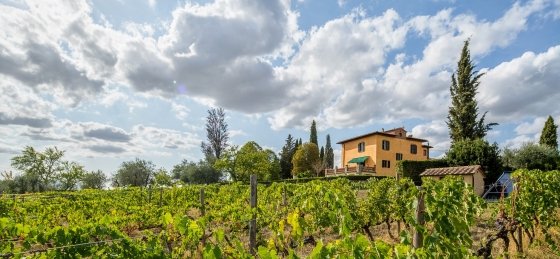 lo_ml_1709130156-hdr.jpg Book a villa in Italy