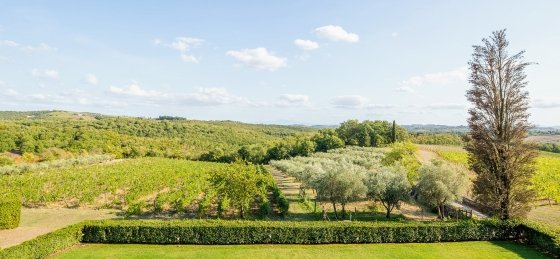 lo_ml_1709130404-hdr.jpg Villa in Arezzo to rent