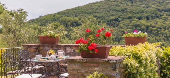 lo_villa_dellangelo-6.jpg Villas in Florence