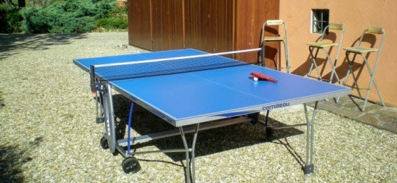 ping_pong_invio.jpg Villa rentals in Italy