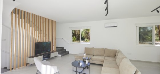 10.jpg Holiday villas in Nissi Beach