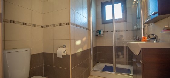 17.jpg Book a villa holiday in Nissi Beach