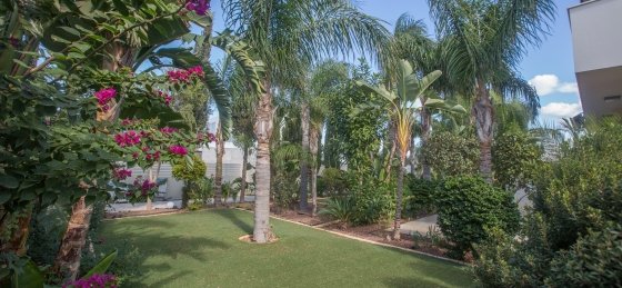 26.jpg Villa rentals in Cyprus