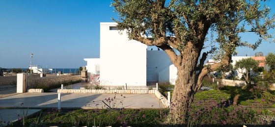 41.jpg Villa holidays in Sicily