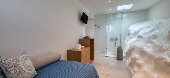 Holiday villas in Mykonos