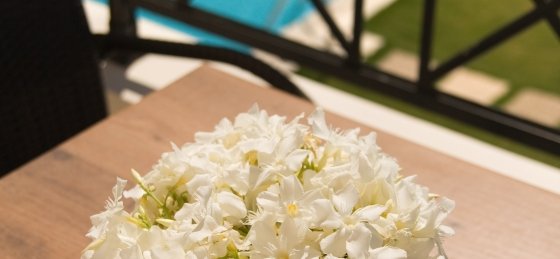 _mg_4243.jpg Holiday villas in Pefkos