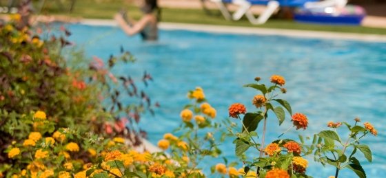 _mg_5265.jpg Villa rentals in Rhodes