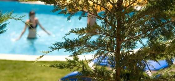 _mg_5290.jpg Villas in Rhodes