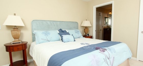 image_156989455.jpeg Holiday villas in Paradise Palms Resort